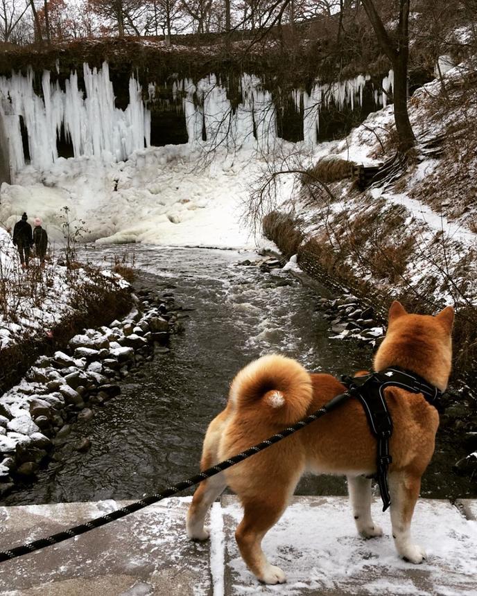 Take a Pet-Friendly Waterfall Hike in Lakemont Along the Minnehaha Falls Trail. Minnehaha Falls Trail Is a Pet-Friendly Waterfall Hike in Lakemont.
