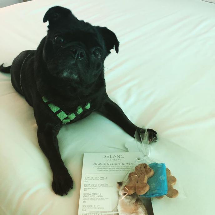 Your Pup Will Love the Dog Room Service Menu at the Delano Las Vegas at Mandalay Bay. The Delano Las Vegas at Mandalay Bay Is a Pet-Friendly Hotel With a Dog Room Service Menu.