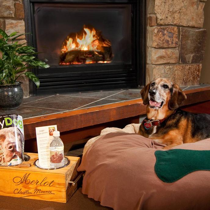 Willows Lodge Offers a Dog Room Service Menu as Part of Their Very Important Pet Program. Willows Lodge Is a Pet-Friendly Hotel in Woodinville With a Dog Room Service Menu.