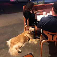 Trio Restaurant restaurant view 1