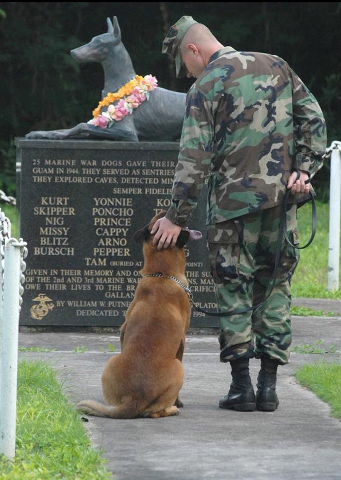 National War Dog Cemetery on the grounds of Naval Base Guam. The National War Dog Cemetery on the grounds of Naval Base Guam.