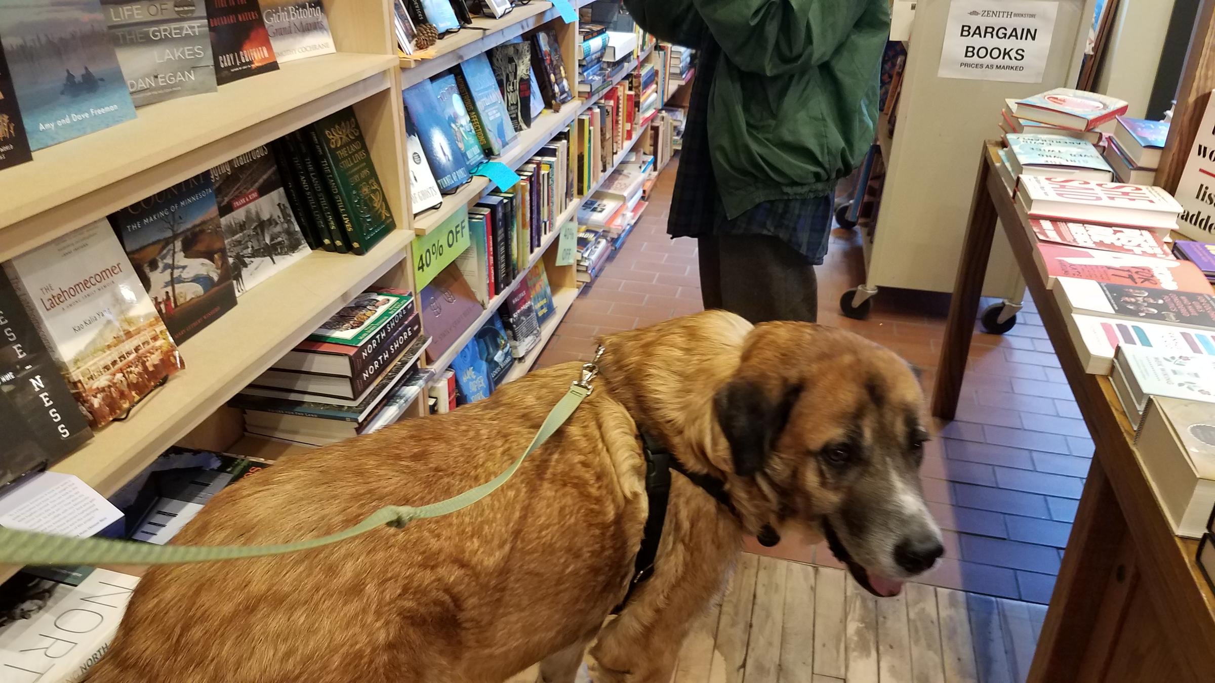 Dog Friendly Duluth Mn Bringfido