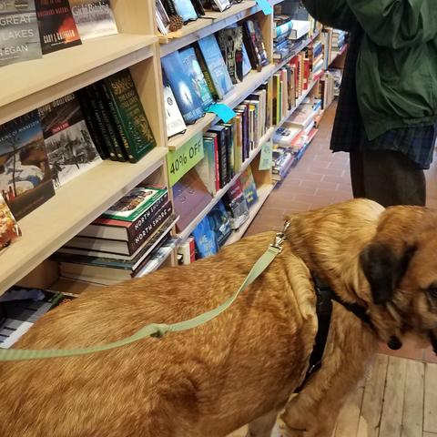 Dog Friendly Duluth Mn Bringfido