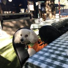 Nonno's Italian Cafe & Wine Bar restaurant view 1