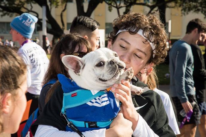 Bring Fido to the Pet-Friendly Dallas YMCA Turkey Trot.