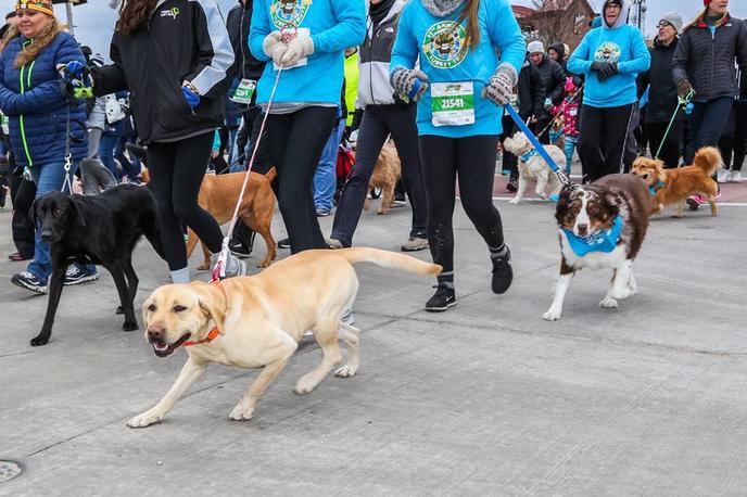 The Festival Foods Turkey Trot Is a Pet-Friendly Thanksgiving Event in Wisconsin.