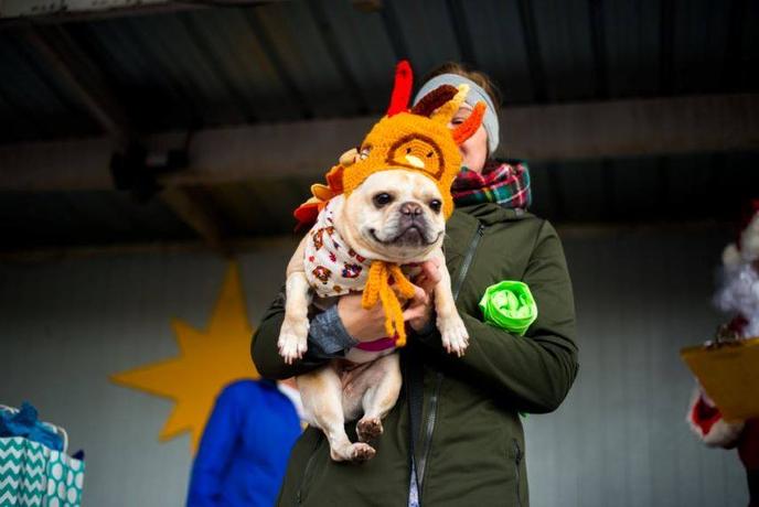 Visit Bethlehem,for the Annual Historic Turkey Trot 5K & Fun Walk. The Historic Turkey Trot 5K & Fun Walk Is a Pet-Friendly 5k in Bethlehem, PA.