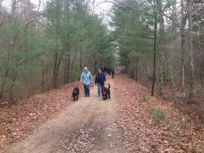 Sippican Lands Trust’s Post-Thanksgiving Dog Walk Is Held in Marion.