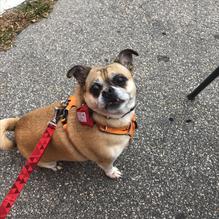 Loco Coco's Tacos restaurant view 2