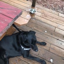 Tijuana Flats restaurant view 1