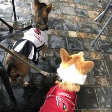 The Alley restaurant view 1