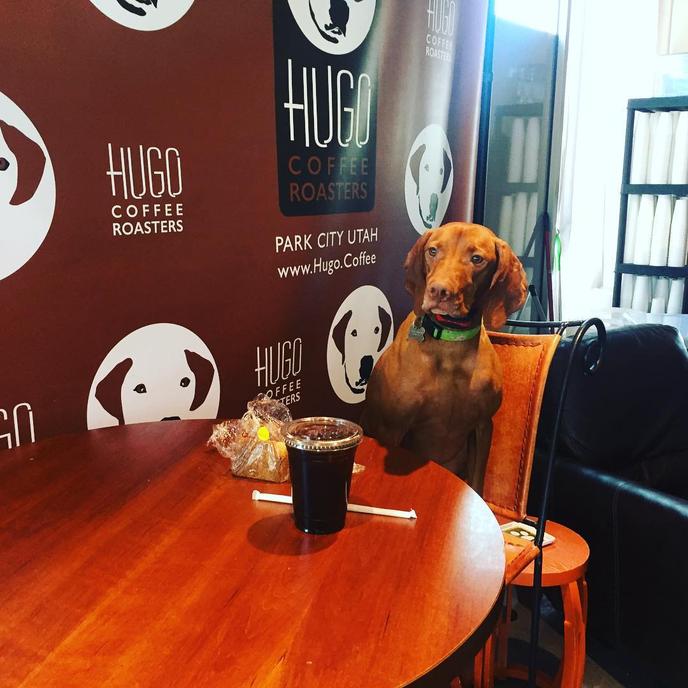 Choose Park City for Your Next Winter Vacation With Your Dog. Choose Park City for Your Next Winter Vacation With Your Dog.