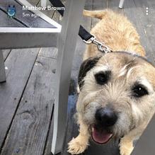 Hobo's restaurant view 1