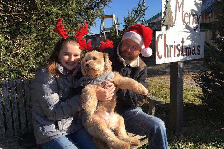 Baldwin Farms Is a Pet-Friendly Christmas Tree Farm in Richmond, Kentucky.