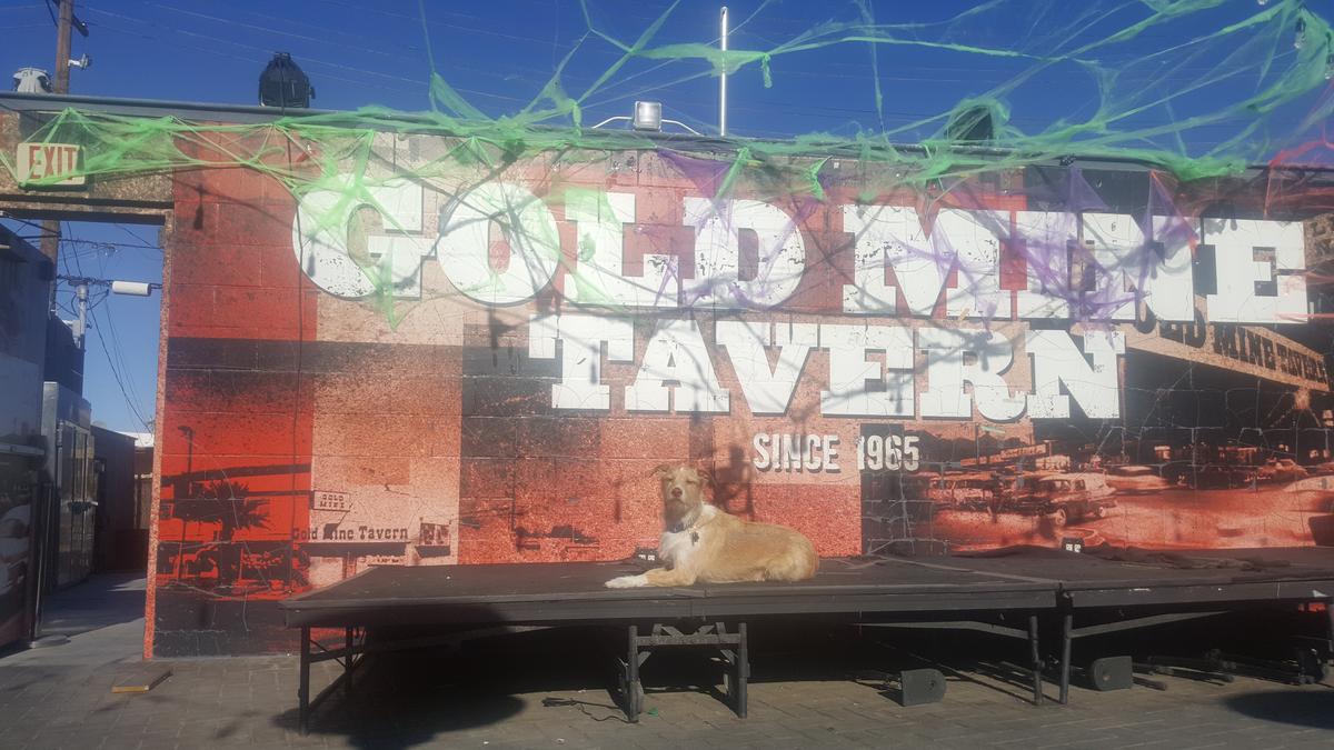 Gold Mine Tavern restaurant view 1