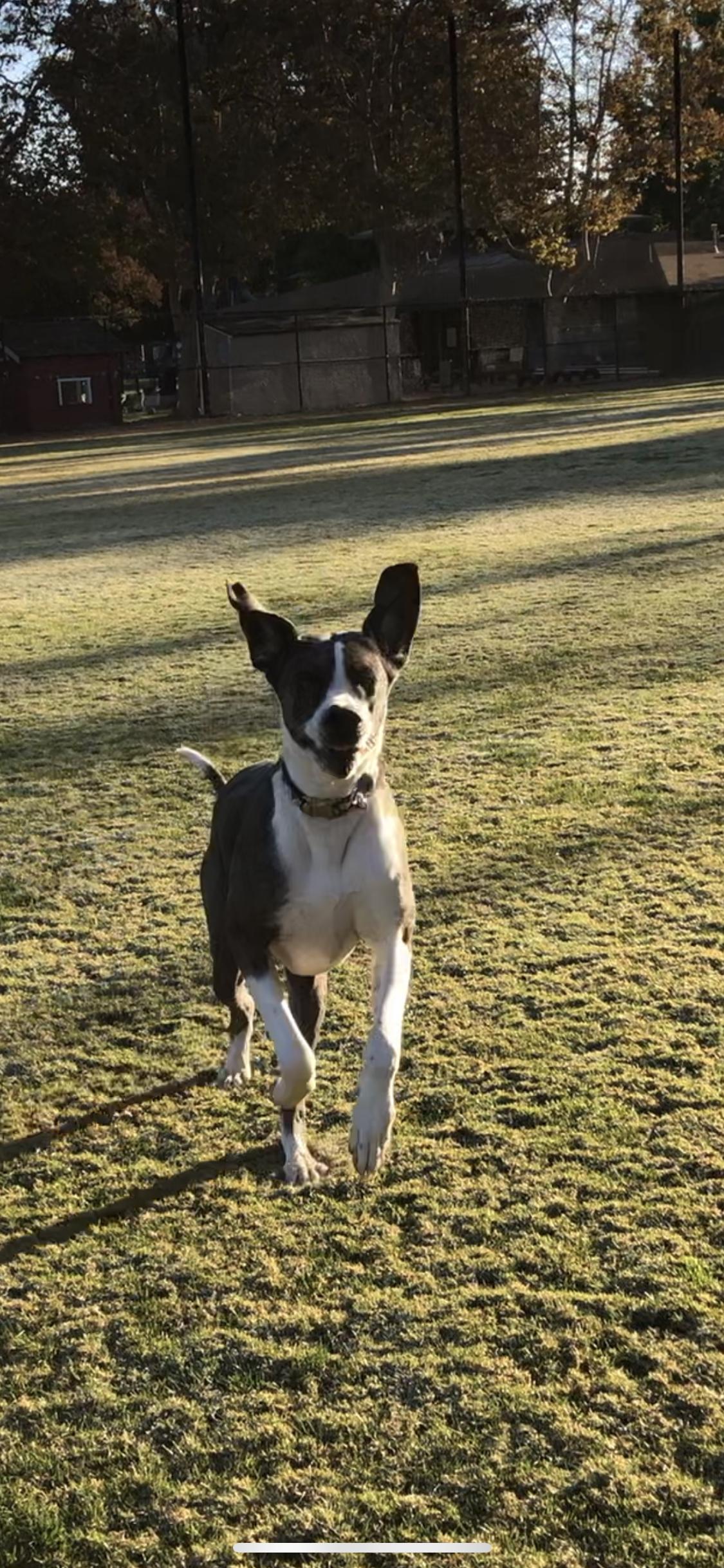 Play Time