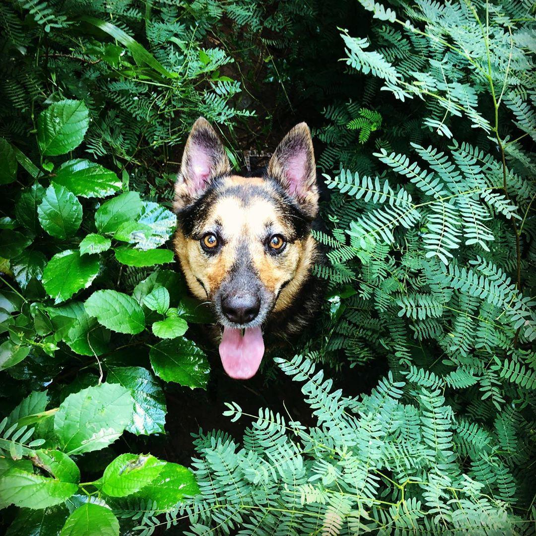 “I’m not lost! I feel right at home.”