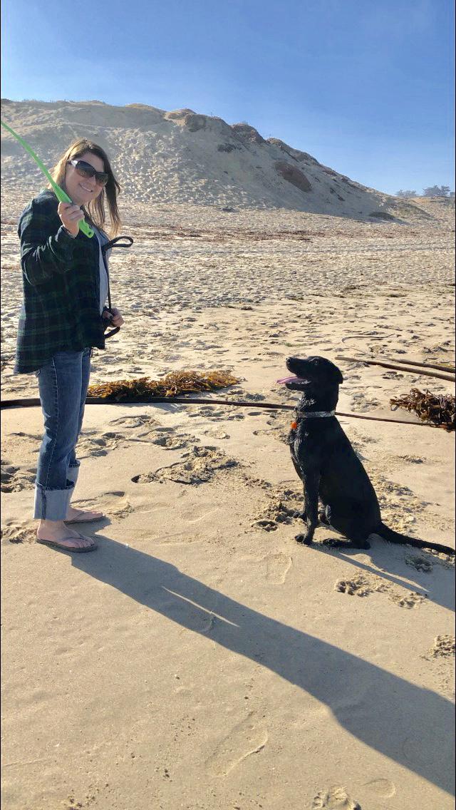 Great Dog Friendly Beach.