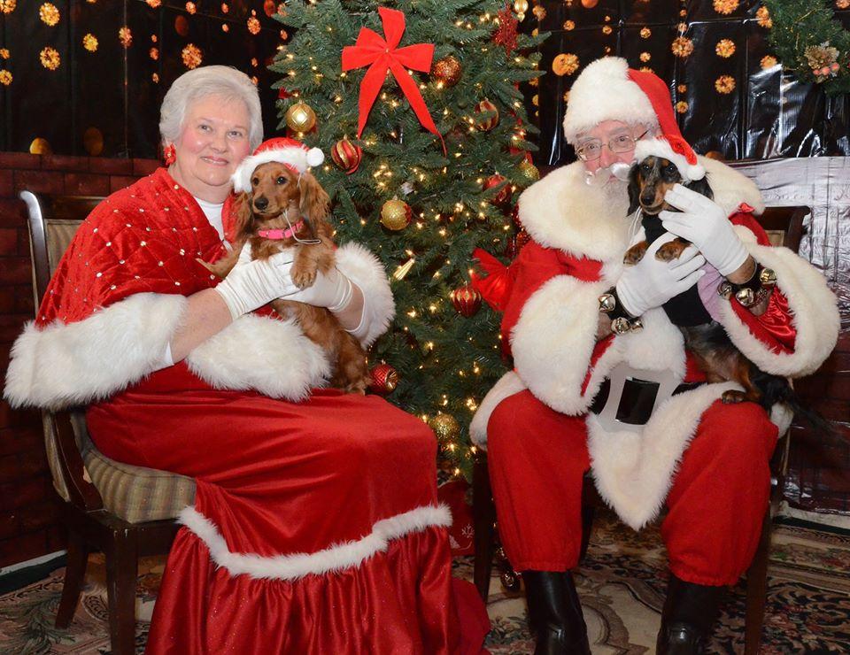 Santa Paws Is Coming to a Photo Shoot Near You BringFido