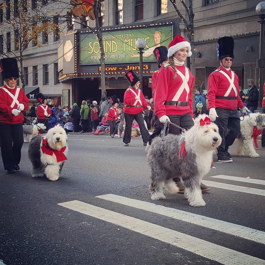 Pet-Friendly Rooms With a View of Your Favorite Thanksgiving Day Parades