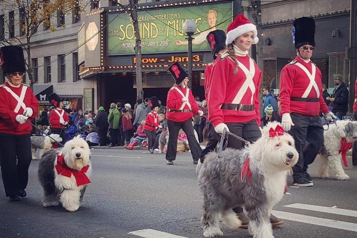 Pet-Friendly Rooms With a View of Your Favorite Thanksgiving Day Parades