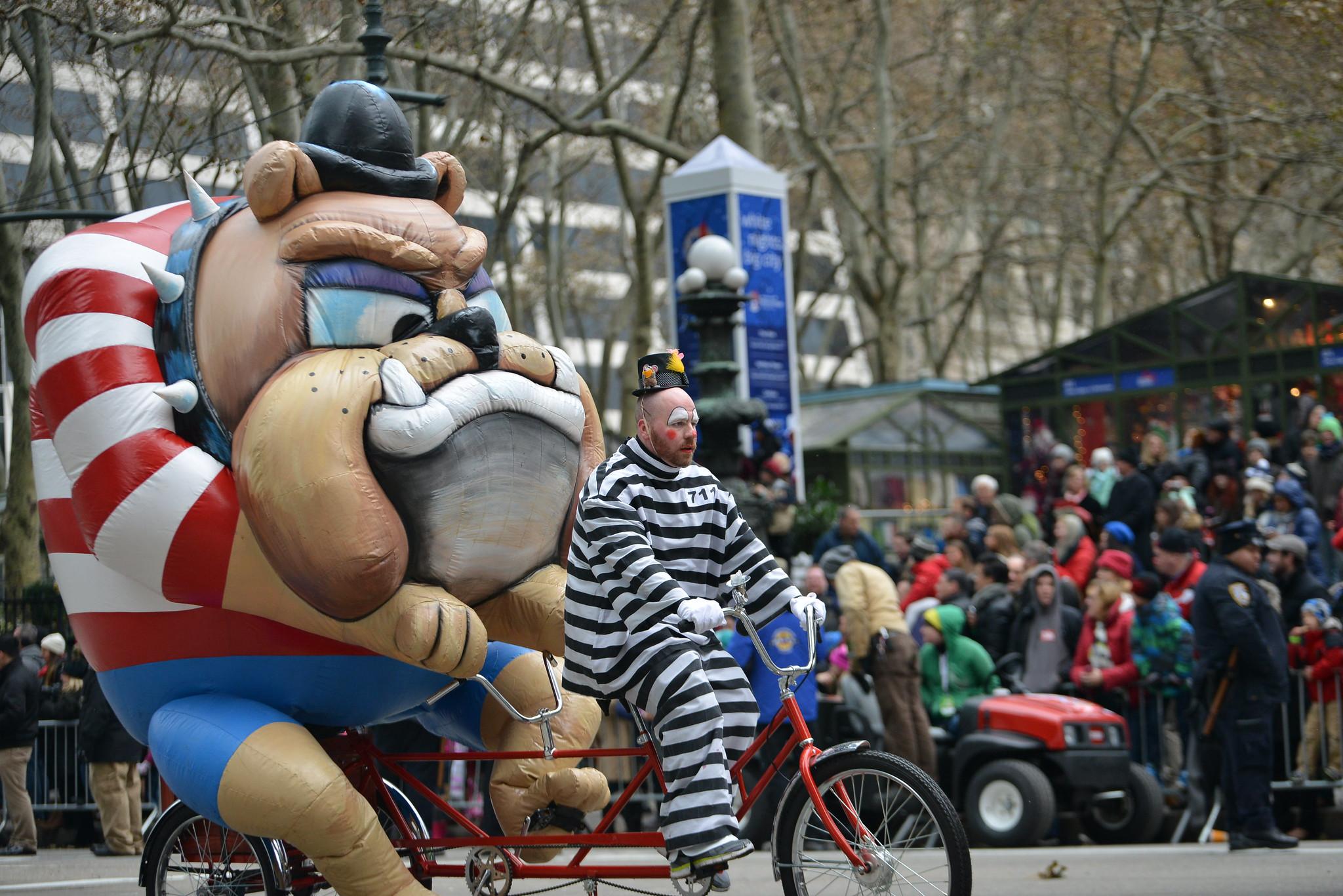 Pet Friendly Rooms With A View Of Your Favorite