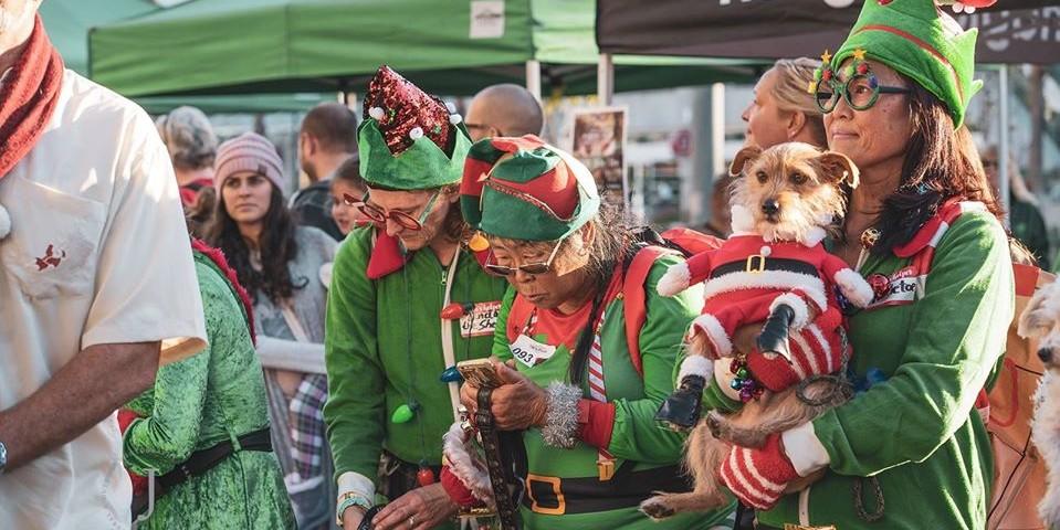 Promenade Pet Parade & Costume Contest