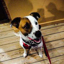 On the Border Mexican Grill & Cantina restaurant view 2