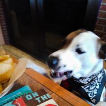 On the Border Mexican Grill & Cantina restaurant view 1