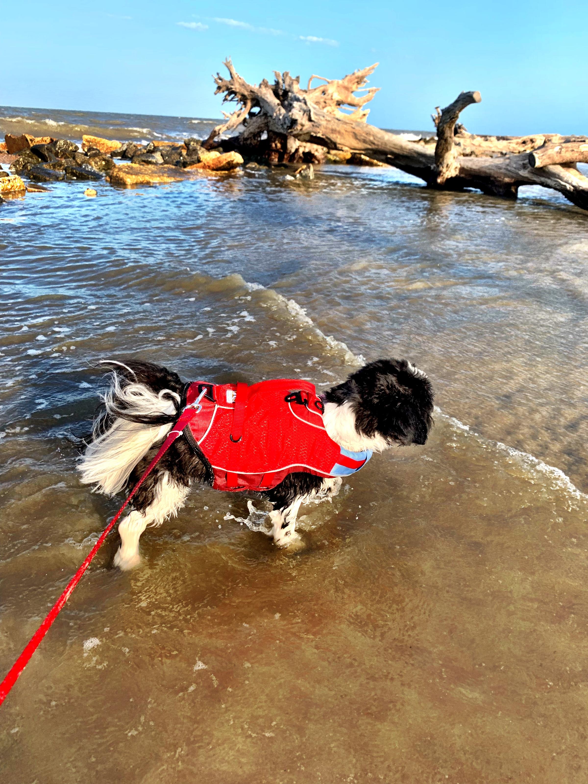 Jekyll Island Beach