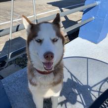 Fresh Agave Mexican Bar & Grill restaurant view 2