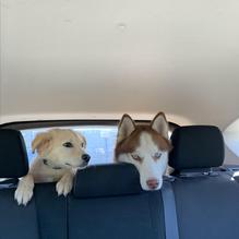 Fresh Agave Mexican Bar & Grill restaurant view 1