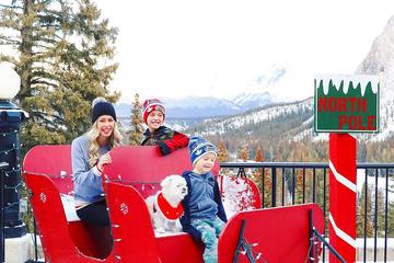 Fido Will Love This Dog-Friendly Resort Located in Banff National Park. A Family Sits in a Sleigh With Their Dog at a Pet-Friendly Resort in Banff National Park.