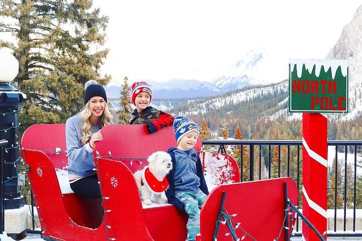 A Family Sits in a Sleigh With Their Dog at a Pet-Friendly Resort in Banff National Park.