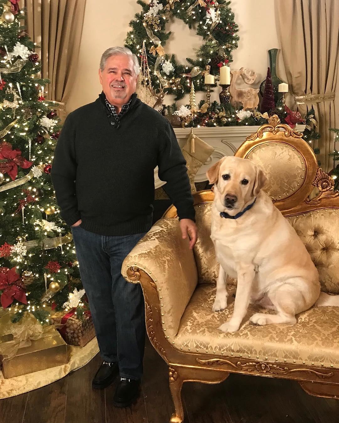 Christmas getaways with store dogs