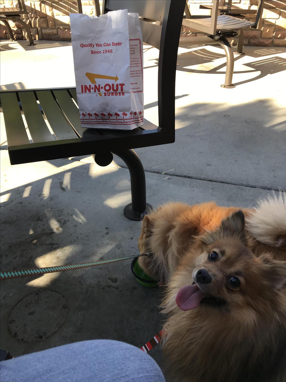 In-N-Out Burger restaurant view 1