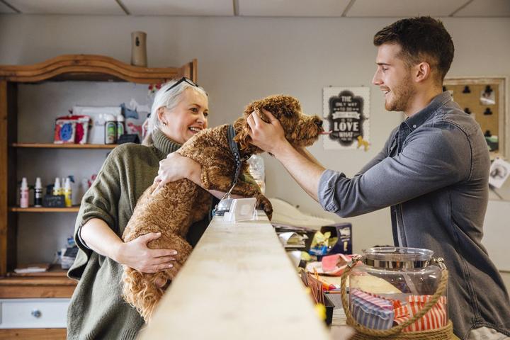 Dog shopping and getting scratches and treats at a pet-friendly small business.