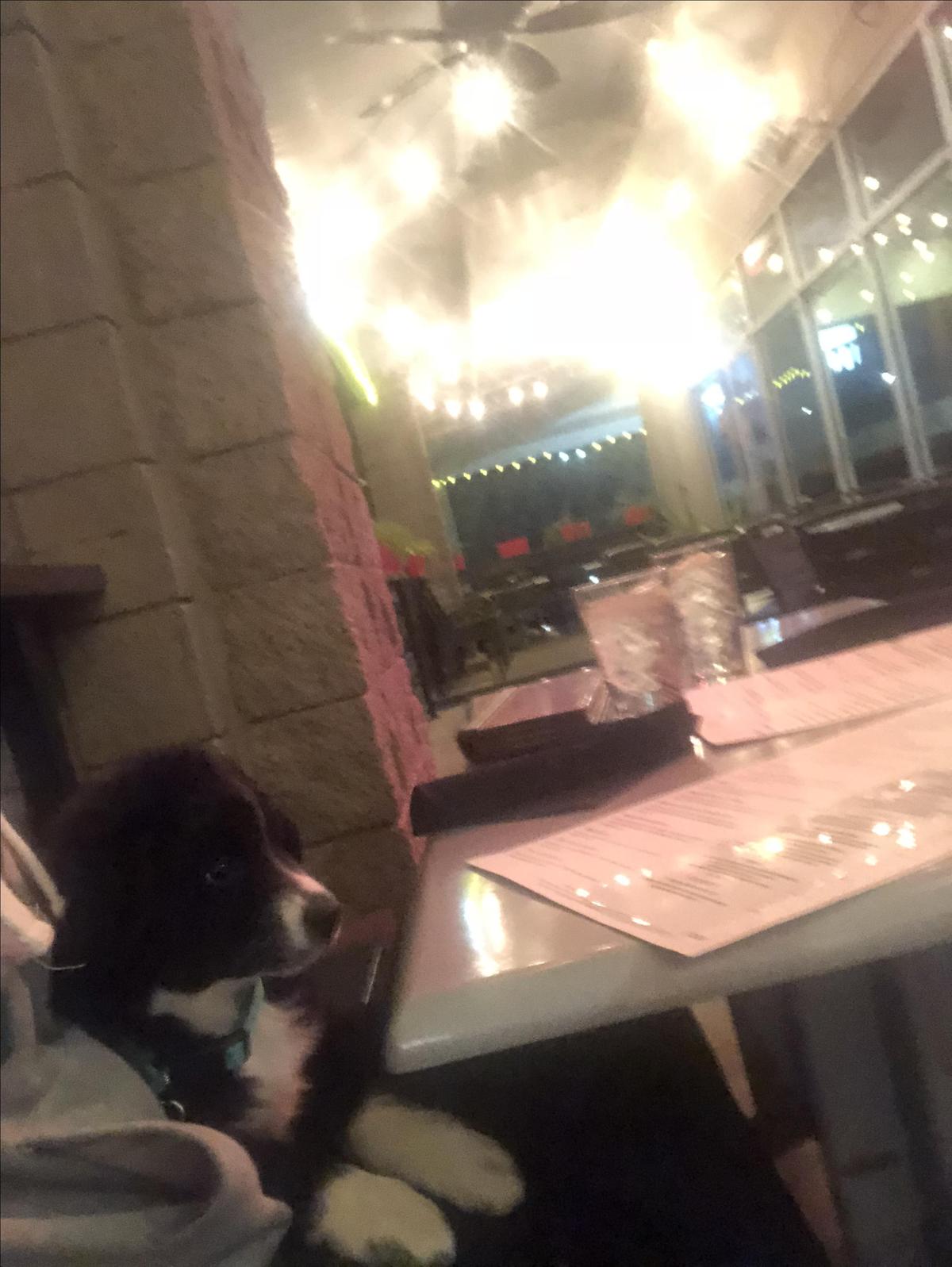 Ripe restaurant view 1