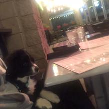 Ripe restaurant view 1