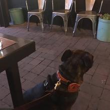 Marble Brewery restaurant view 3