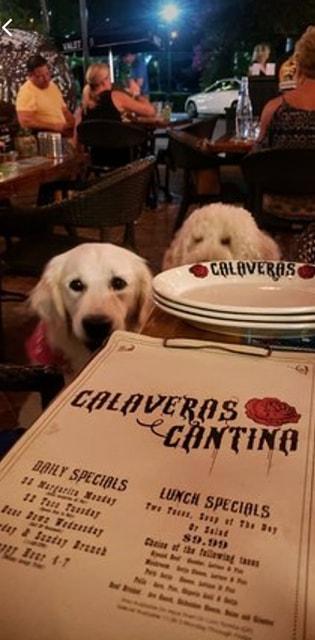 Calaveras Cantina restaurant view 2