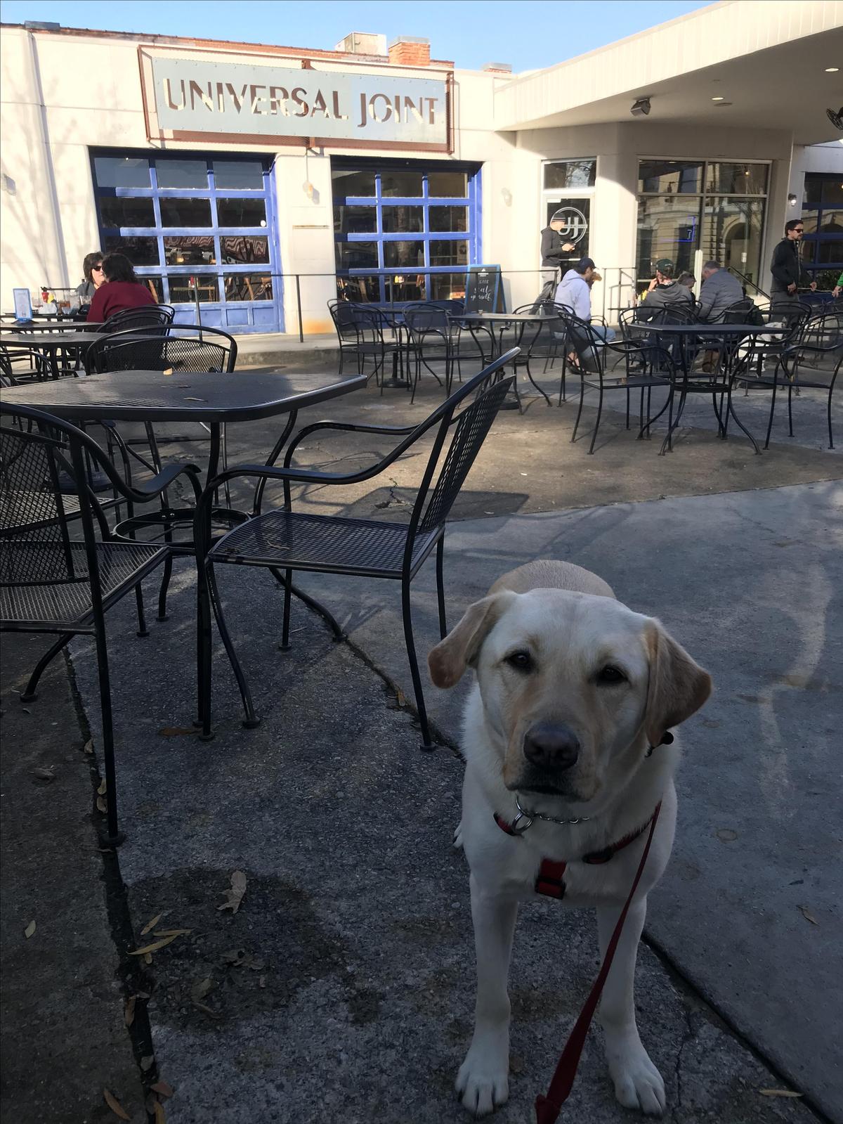 Universal Joint restaurant view 4