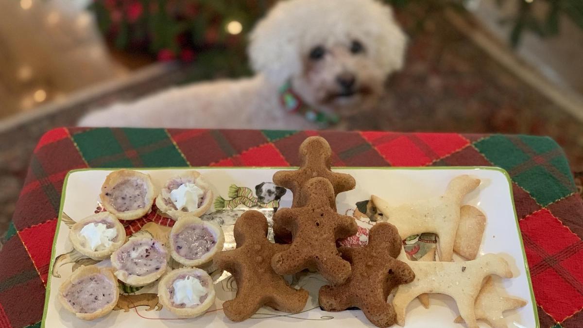 homemade dog christmas cookies