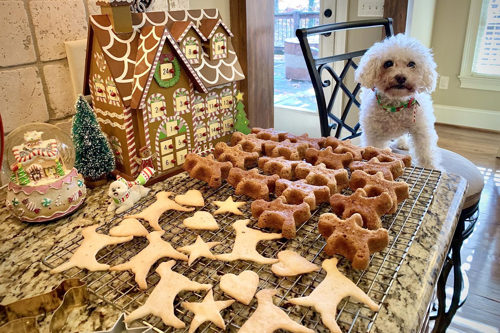 Homemade Christmas Cookies and Festive Goodies for Fido