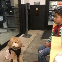 Chipotle Mexican Grill restaurant view 2