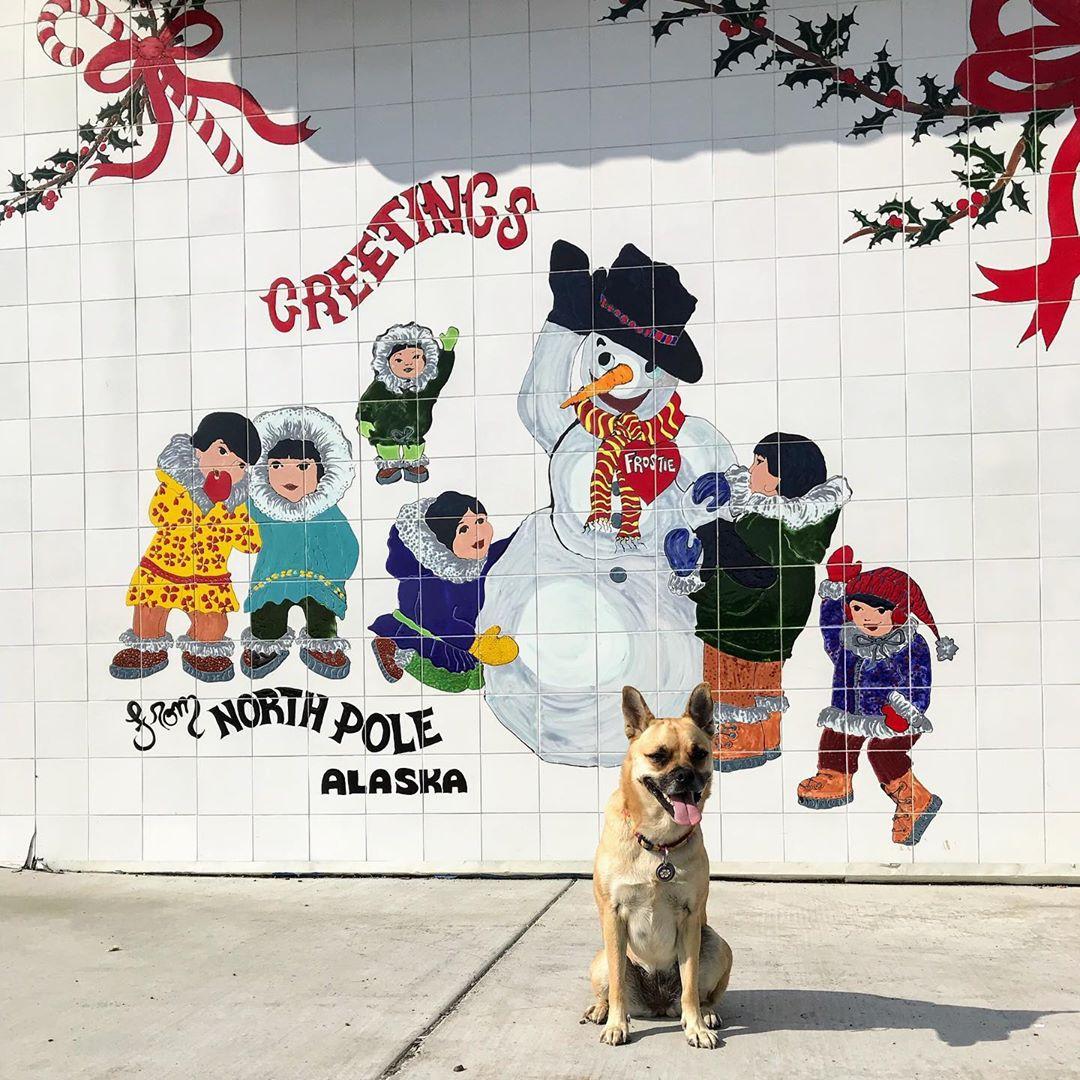 Christmas in the North Pole: Holiday-Themed Towns to Visit With Fido