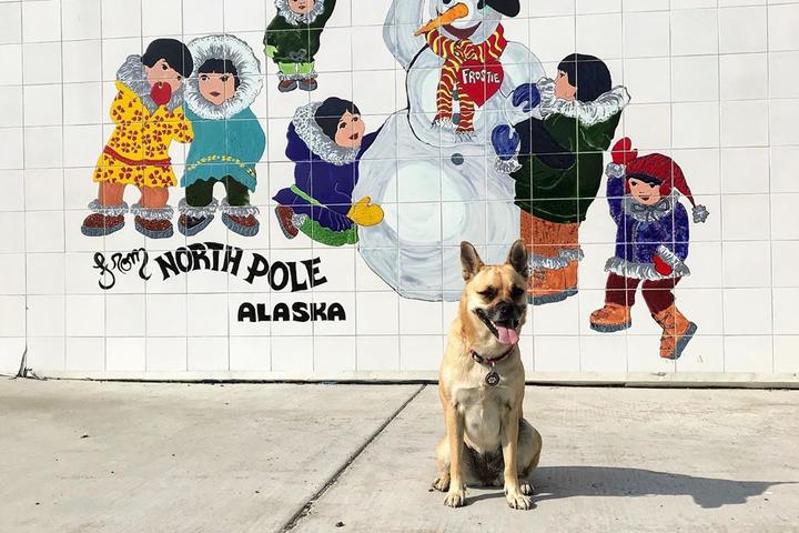A Dog Stands in Front of a Snowman Mural in North Pole, AK.