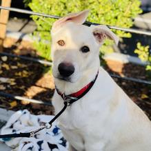 University of Beer restaurant view 4