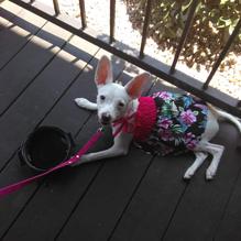 On the Border Mexican Grill & Cantina restaurant view 3