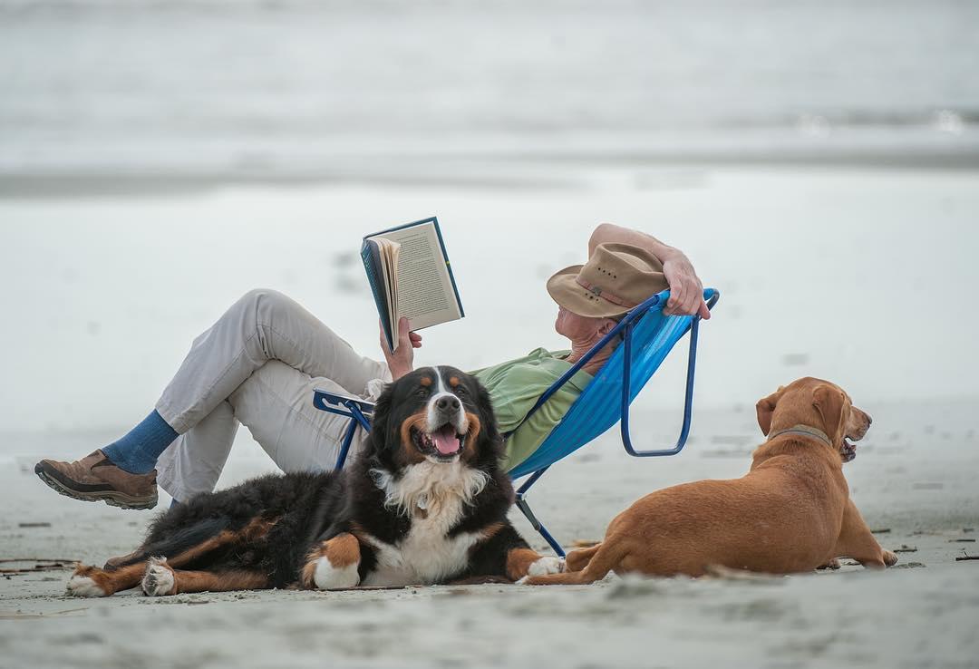 Jekyll Island in Georgia’s Golden Isles is a dog-friendly snowbird destination.